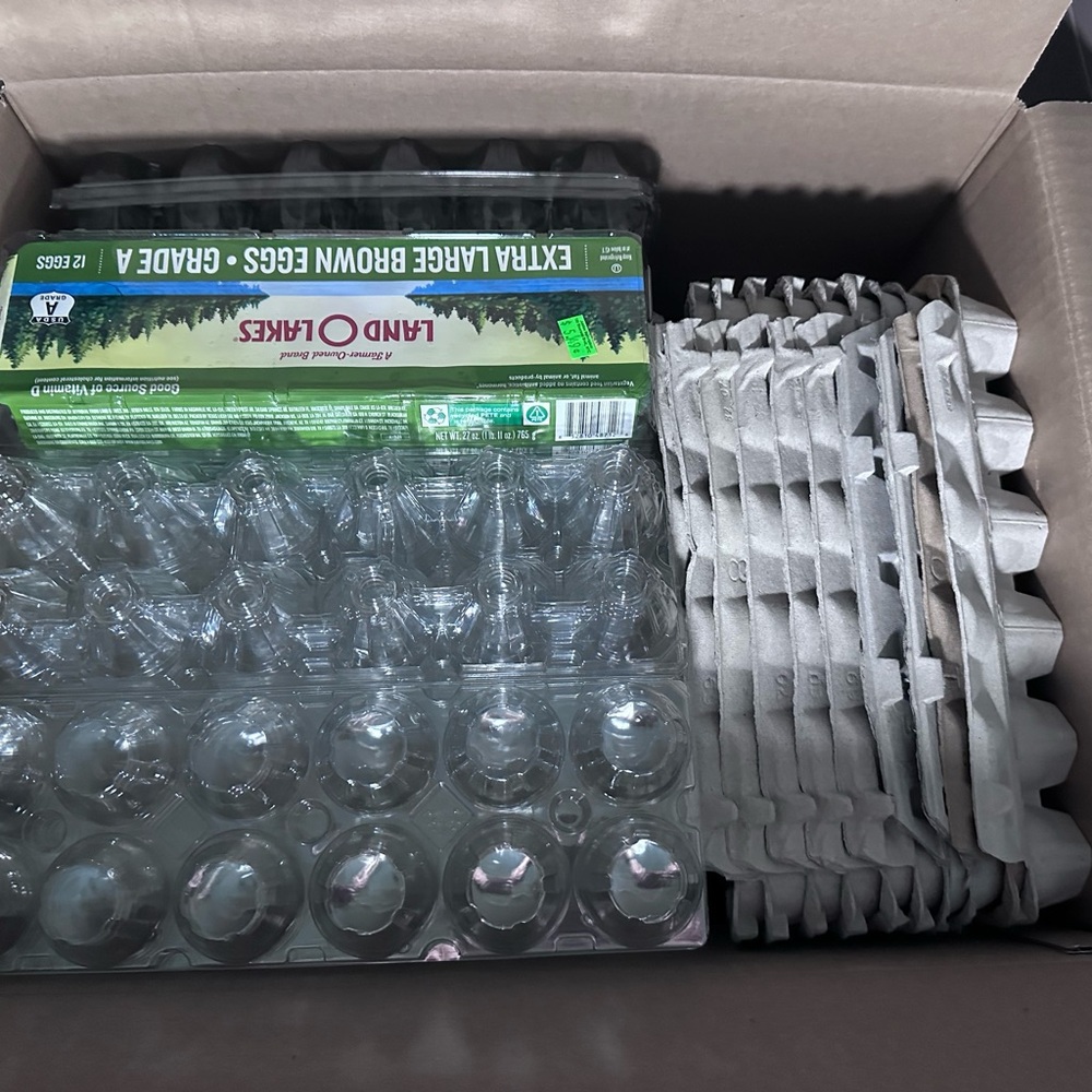 Lot of 20 Empty Egg Cartons, 12,18,24count, pulp paper, Clean Clastic Containers